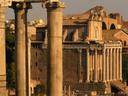 More of the Forum.